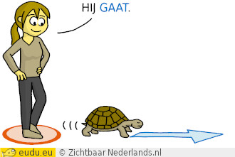 Een schildpad loopt weg.