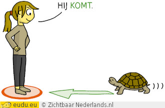 Een schildpad loopt naar het meisje.