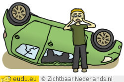 Een auto die ondersteboven op de weg ligt. De
			panikerende bestuurder staat ernaast.