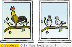 ochtend: een haan, middag: duiven