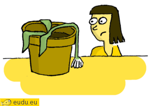 Een plant die bijna dood is.
