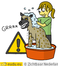 Hyena wassen